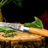 FORGED Olive olajfa nyelű univerzális 12,5cm-es kés díszdobozban - Image 2